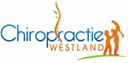 Dr. Alan Jenks - Chiropractie Westland